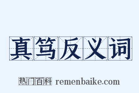真笃反义词是什么意思的图片